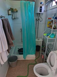 a bathroom with a shower with a toilet in it at Uort in Tossor
