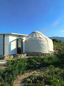 a yurt in front of a house at Uort in Tossor