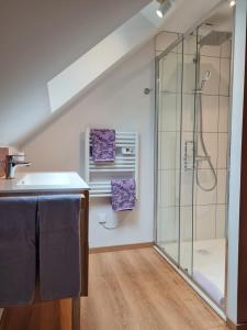 a bathroom with a shower and a sink at Au B'Honneur de Blois in Blois