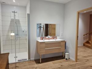 a bathroom with a sink and a shower at Au B'Honneur de Blois in Blois