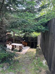 a backyard with a picnic table and a fence at Володимирська садиба in Migovo