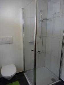 een badkamer met douche en toilet bij Appartment Tobias in Radstadt