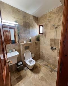 a bathroom with a toilet and a sink and a shower at Sofia Villa in Astris +59 photos