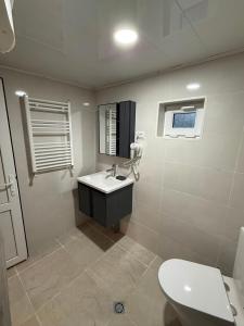 a bathroom with a sink and a toilet at Mamukas Guesthouse in Mestia