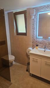 a bathroom with a sink and a toilet and a window at Cabana Valea Brândușelor in Bran +21 photos