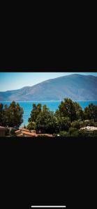 a view of a large body of water with trees at Hotel Dini in Vlorë