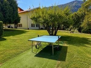 a ping pong table in the middle of a yard at Apartment Portico I in Castelveccana +39 photos