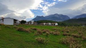 Paisaje cerca de este lodge