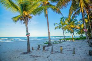 a beach with palm trees and the ocean at Recanto do mar in Ilhéus +1 photo
