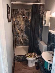 a bathroom with a toilet and a shower and a sink at Katharinas Ankerplatz in Flensburg