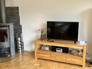 a television on a wooden stand in a living room with a fireplace at Ferienhaus Bibernest in Münsingen