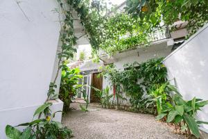 an outdoor room with plants on the side of a building at Vega Haven in Matara