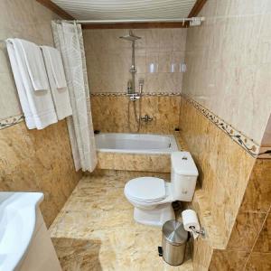 a bathroom with a toilet and a bath tub at The Relic in Olympos