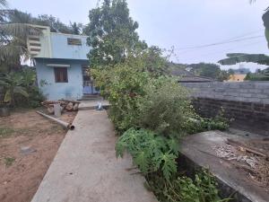 a house with a tree in front of it at Guna stay in Virāmpattinam