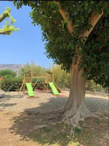 a playground with a tree and a green slide at Suli e Sali Apartment in Calatabiano
