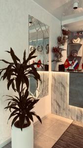 a plant in a white pot in a room at Diltoj Hotel Tashkent in Tashkent +44 photos