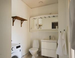 a bathroom with a toilet and a sink and a mirror at Spjutstorp's old school and rectory 2 in Tomelilla +15 photos