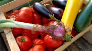 a wooden box filled with tomatoes and other vegetables at Brescou Lodges in Murviel