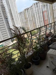 a balcony with potted plants and tall buildings at Apartment for rent in Noida
