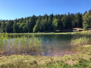 a lake in a field with trees in the background at Casa Marta in Lisignago