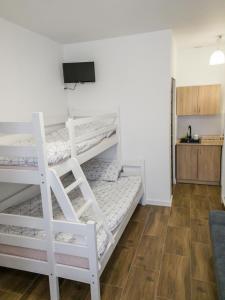 a bedroom with two bunk beds in a room at Agroturystyka u Aleksa in Krajno-Zagórze