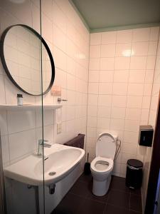 a bathroom with a toilet and a sink and a mirror at Hotel Restaurant 't Ronde Loegh in Winschoten