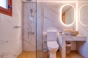 a bathroom with a shower and a toilet and a sink at Thymele Stone House in Lygourio