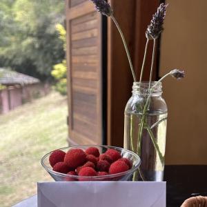 a glass bowl of strawberries and a vase with flowers at Pousada Ritmos da Terra - Estadia de 6ª a Domingo in Angelina +6 photos
