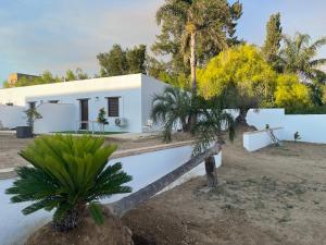 a white house with palm trees in front of it at Golondrinas Verdes in Huelva