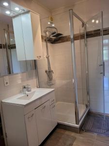 a bathroom with a sink and a shower at Haus 140 qm für Monteure in Bad Salzschlirf +41 photos