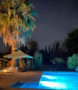 a swimming pool at night with a palm tree at Mini Relajo-Tiny House in Pirque