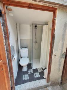 a small bathroom with a toilet and a shower at La Roulotte by Maison Maliga in Saint-Pierre-de-Curtille