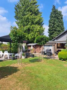 a yard with a large tree and a grill at Le chalet d Egide in Waimes