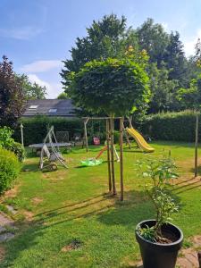 a park with a playground with a tree and a slide at Le chalet d Egide in Waimes +1 photo
