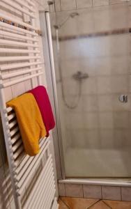 a bathroom with a shower with a towel on a rack at Haus Nummer 7 in Manderscheid +17 photos