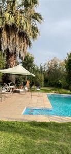 a pool with a table and a tent and a palm tree at Mini Relajo-Tiny House in Pirque +18 photos