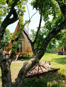 a tree with a house in front of it at Akhateli in Ruispiri