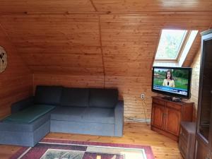 a living room with a couch and a flat screen tv at Agroturystyka Osada Leśna in Piecki
