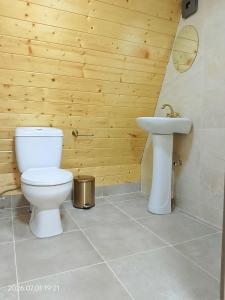 a bathroom with a toilet and a sink at Akhateli in Ruispiri +24 photos