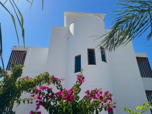 a white building with blue windows and pink flowers at Vila Jeti in Ksamil