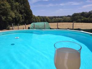 a glass of wine sitting next to a swimming pool at Kinvara Gite in Dournazac