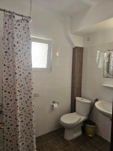 a bathroom with a toilet and a sink at Philippos Hotel in Paralia Katerinis +37 photos