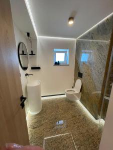 a bathroom with a toilet and a sink and a shower at Apartament 1 Lalelelor in Năsăud