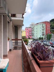 a balcony of a building with plants on it at Zuly House in Savona