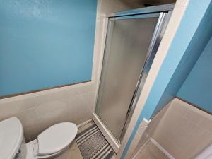 a bathroom with a toilet and a shower at The Cottonwood Den in Laramie +11 photos