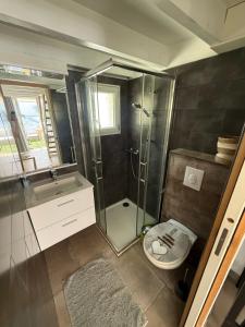 a bathroom with a shower and a toilet and a sink at Petit cocon avec mezzanine in Six-Fours-les-Plages