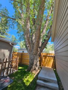 a tree next to a wooden fence with a sidewalk at The Cottonwood Den in Laramie