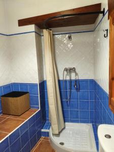 a blue tiled bathroom with a shower and a toilet at Casa Les Donfelises in Peñarroya de Tastavins +14 photos