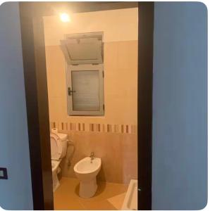 a bathroom with a toilet and a sink and a mirror at Adriatic Pearl Apartamets in Lezhë