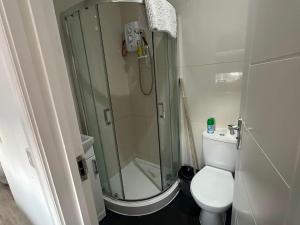 a small bathroom with a shower and a toilet at Wimbledon chase self- catering studio in Raynes Park